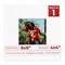 White with Black Core Mat Board for 8x8 Frames - Fits 4x4 Photos